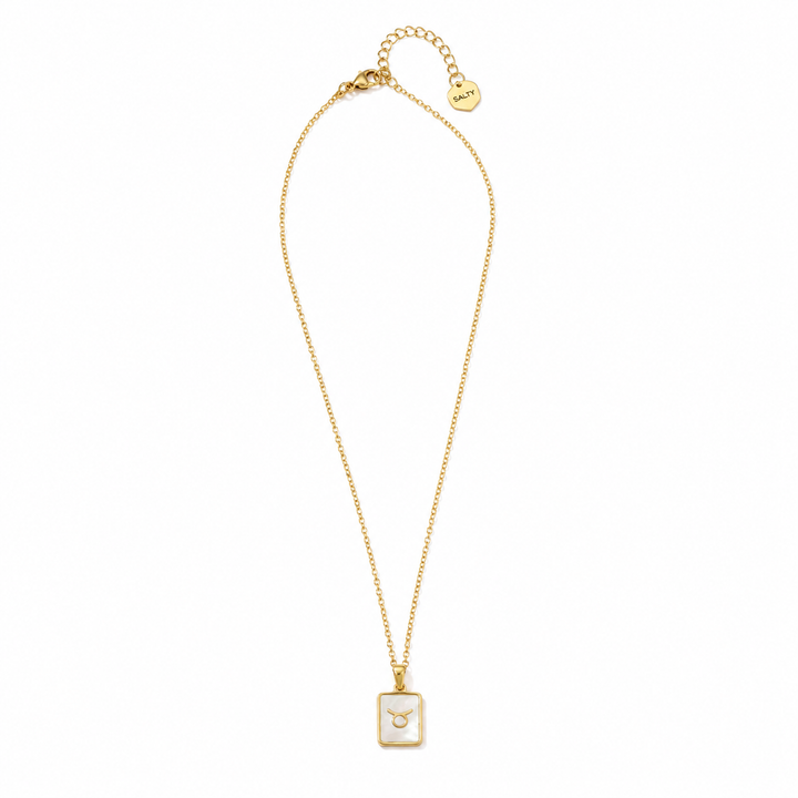 Sign of the Stars Zodiac Necklace