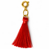 Tassel Charms