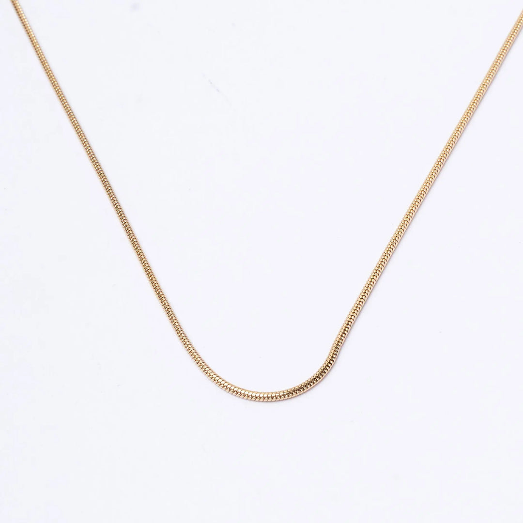 Round Snake Gold Chain | Salty