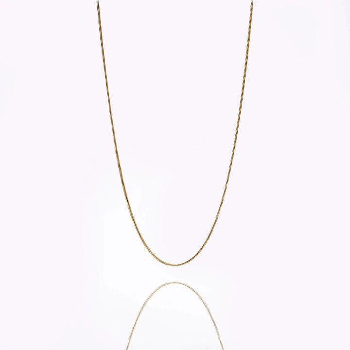 Round Snake Gold Chain | Salty