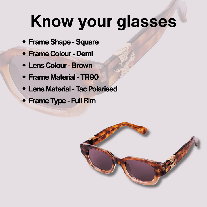 Torto Twist Sunglasses