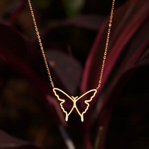 Mariposa Golden Chain