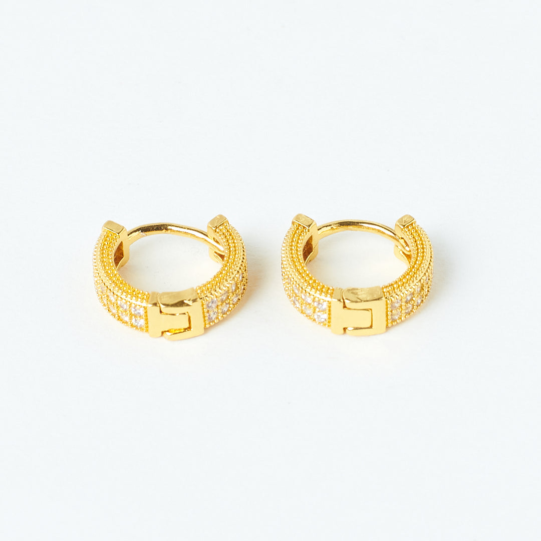 Sophisticated Golden Earrings | Salty