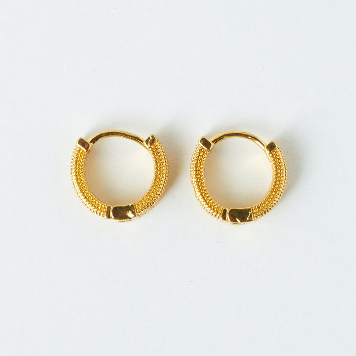 Sophisticated Golden Earrings | Salty