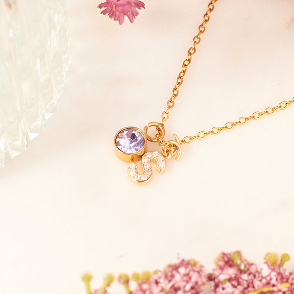 Initial and Birthstone Charm Necklace