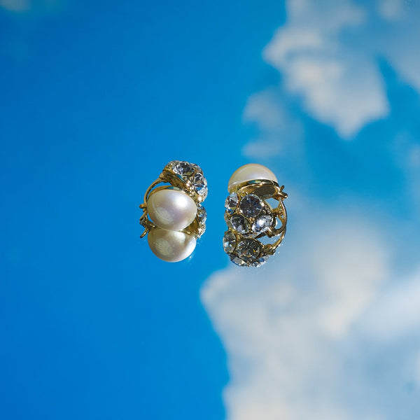 Exquisite Essence Earrings