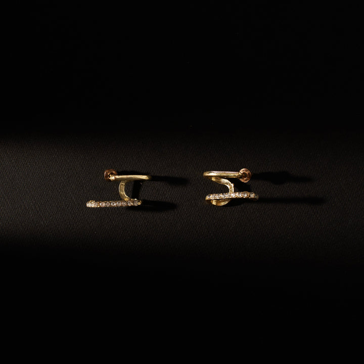 Fashionista Golden Earrings - Salty Accessories