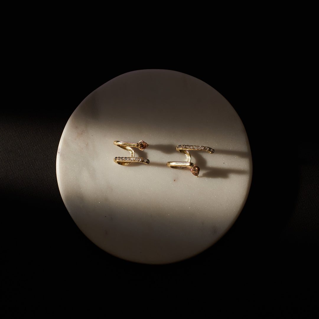 Fashionista Golden Earrings - Salty Accessories