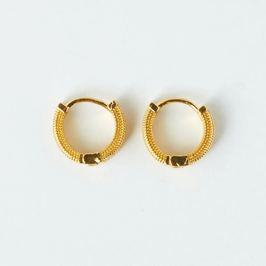 Sophisticated Golden Earrings - Salty Accessories