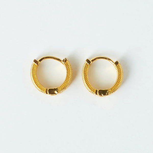 Sophisticated Golden Earrings