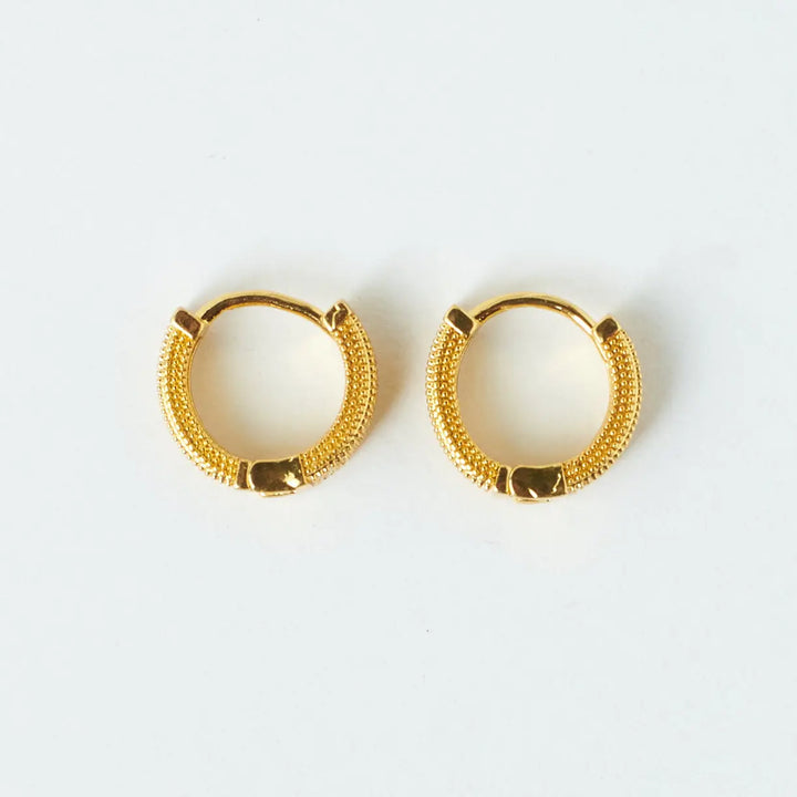 Sophisticated Golden Earrings - Salty Accessories