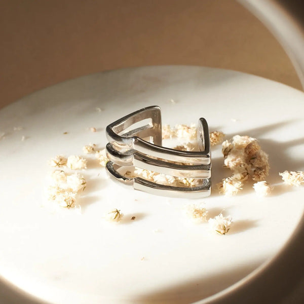 Titans Tribute Men's Ring