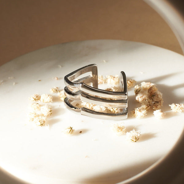 Titans Tribute Men's Ring