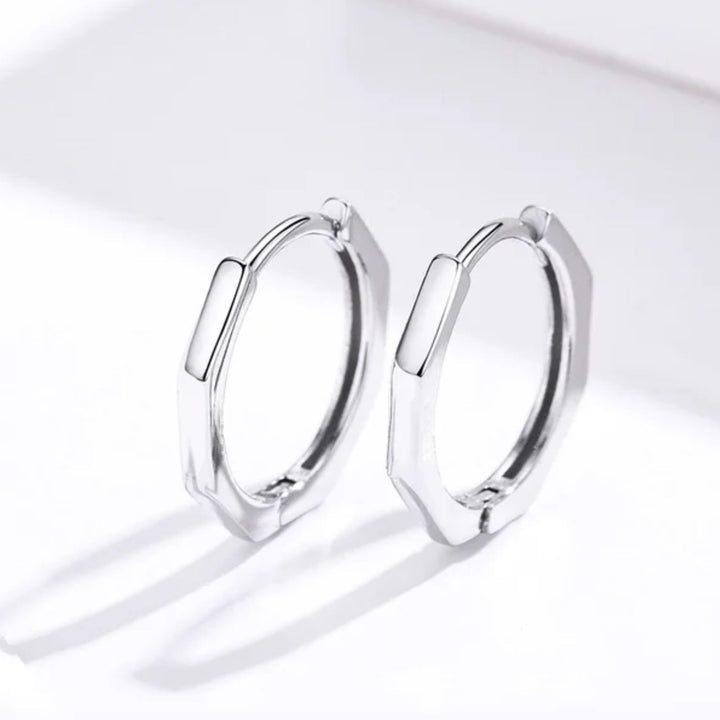 Titan Twists Silver Earrings