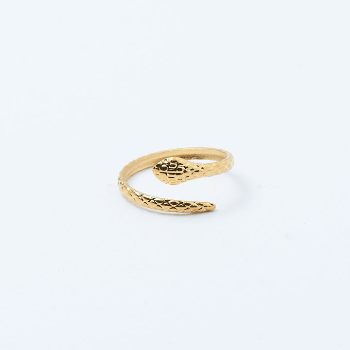 Vintage Valor Ring