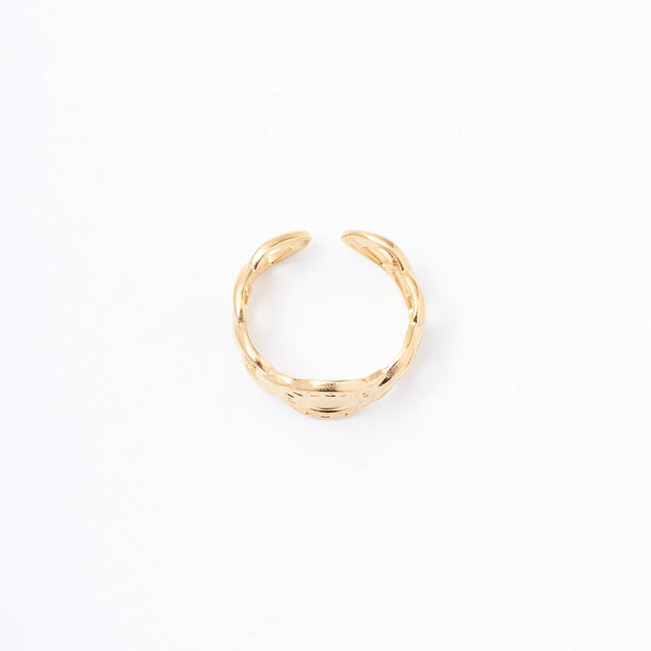Vintage Vault Ring - Salty Accessories