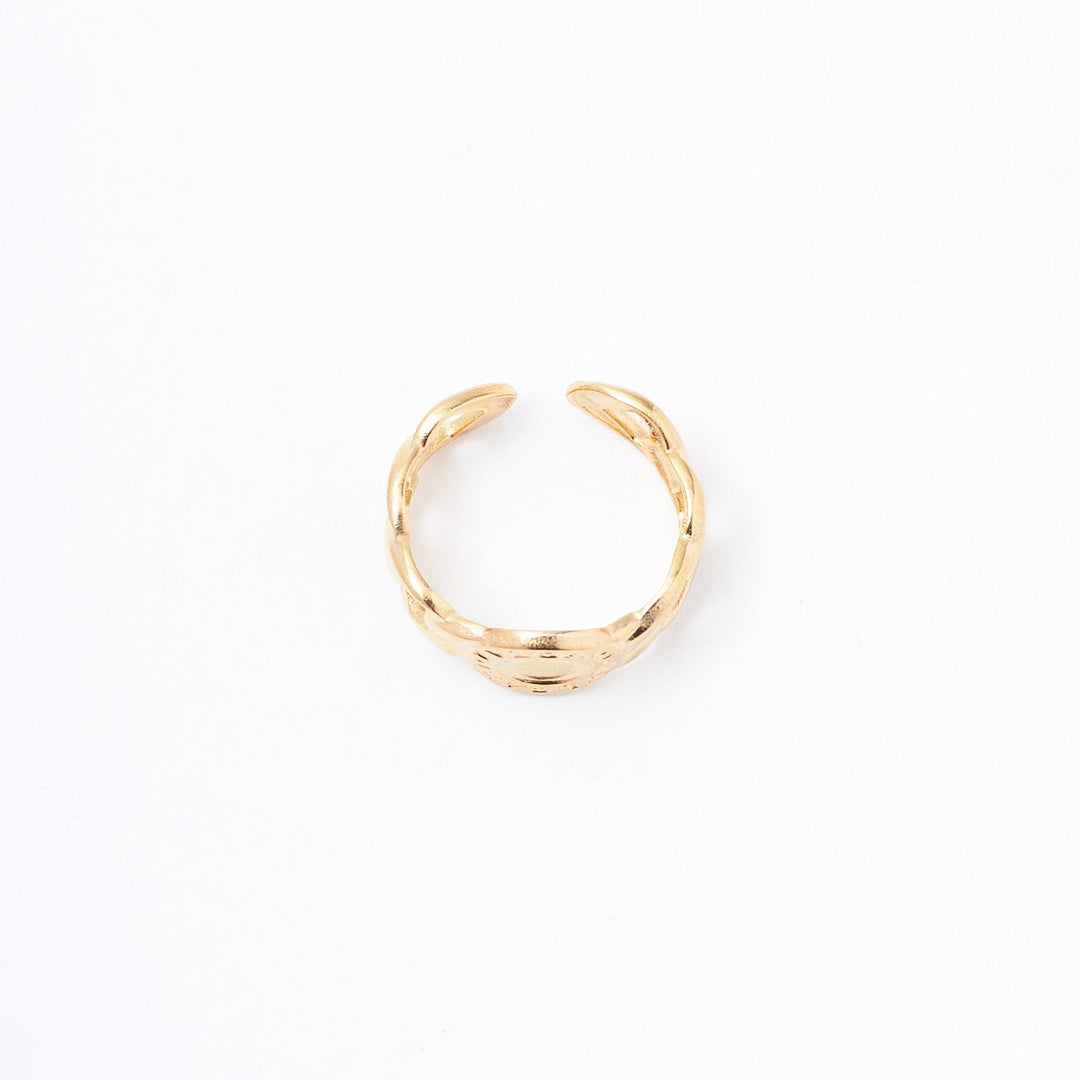 Vintage Vault Ring - Salty Accessories