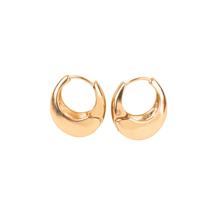 Dazzling Gold Hoop Accents Earring