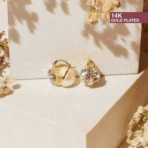 Exquisite Essence Earrings