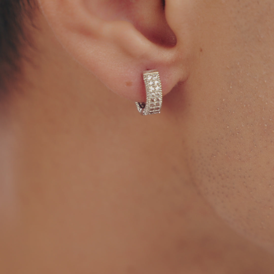 Sophisticated Silver Earrings