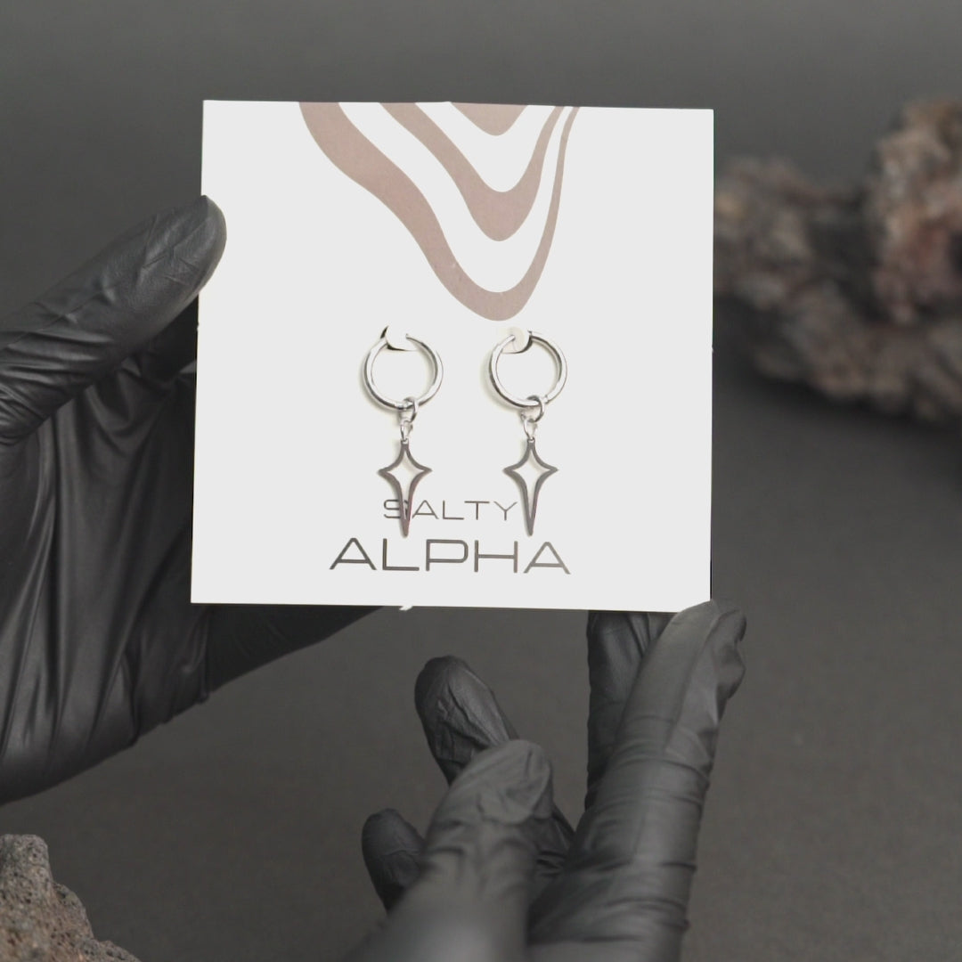 Silver Stardust Earrings